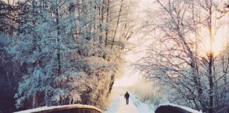 Czy warto przejść z androida na iPhone?