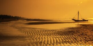 Czy Sony produkuje PS4?