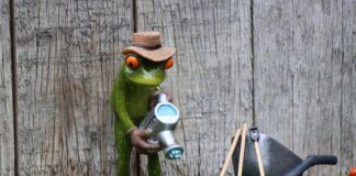 Czy abonament za telefon płaci się z góry?