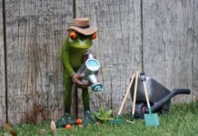 Czy warto przejść na abonament?