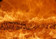 Jaka jest najlepsza marka telefonu?