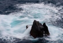 Czy ceny telefonów spadną?