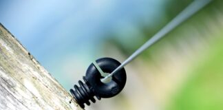 Ile procent Polaków ma smartfon?