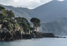 Ile kosztuje samochód Aston Martin?