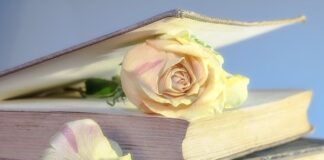 Czy warto kupić używaną Hondę Jazz?