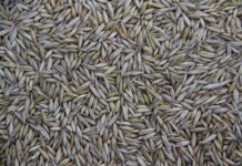 Co jest produkowane w Tychach?