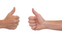 Czy trzeba mieć pozwolenie na kameleona?