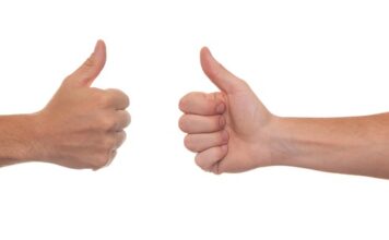 Czy trzeba mieć pozwolenie na kameleona?