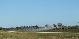 Ile kosztuje Dacia Duster Prestige?