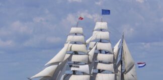 Jakie są rodzaje żaglowców?