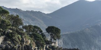 Ile kosztuje Dacia Sandero?