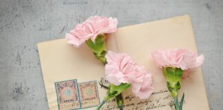 Co oznacza czarny znaczek BMW?