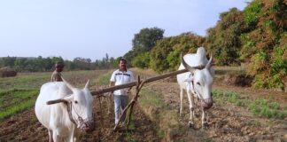 Co to jest rumpel w silniku?