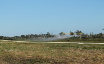 Kiedy nowy Duster 2024?